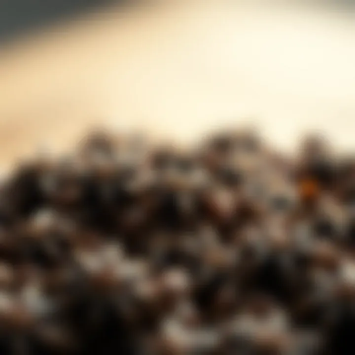 Magnificent Anise Seeds: A Comprehensive Exploration of Flavor, Uses, and Benefits