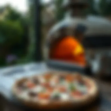 Notable A Comprehensive Exploration of the Ooni Outdoor Pizza Oven Notable A Comprehensive Exploration of the Ooni Outdoor Pizza Oven