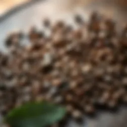 Artistic representation of coffee beans showcasing various origins