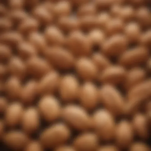 A close-up view of almonds showcasing their texture and natural beauty.