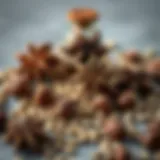 Anise Seeds: A Comprehensive Exploration of Flavor, Uses, and Benefits Introduction