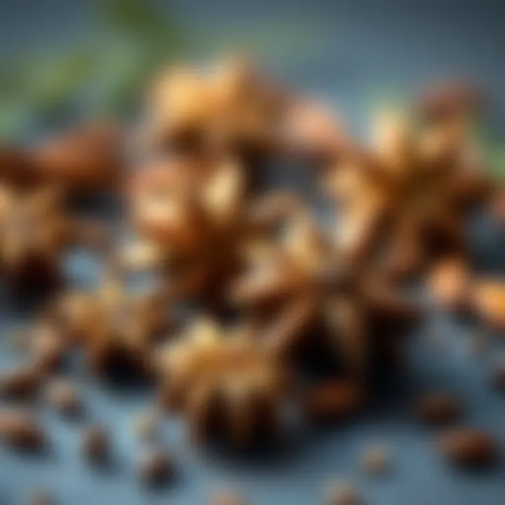 Anise Seeds: A Comprehensive Exploration of Flavor, Uses, and Benefits Summary