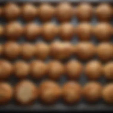 Types of Bread for Pizza Oven Baking Selection of various types of bread suited for pizza ovens