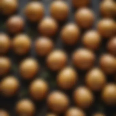 A close-up of little potatoes with a sprinkle of seasoning ready for baking.