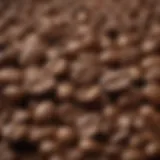 A close-up of freshly ground coffee beans showcasing their rich texture and aroma.