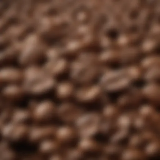 A close-up of freshly ground coffee beans showcasing their rich texture and aroma.