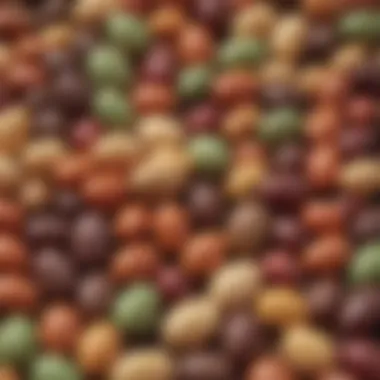 Close-up of unusual flavors of Bertie Bott's Every Flavor Beans.