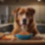 A large breed dog enjoying a bowl of nutritious homemade food