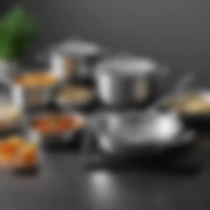 High-quality stainless steel cookware set showcasing sleek design and durability