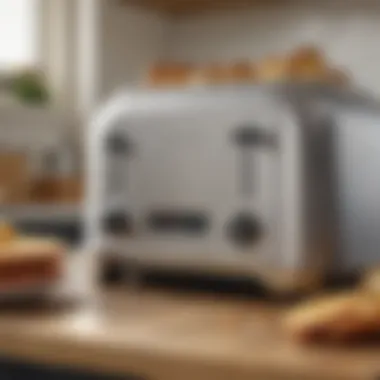 Maintenance tips for Breville toaster