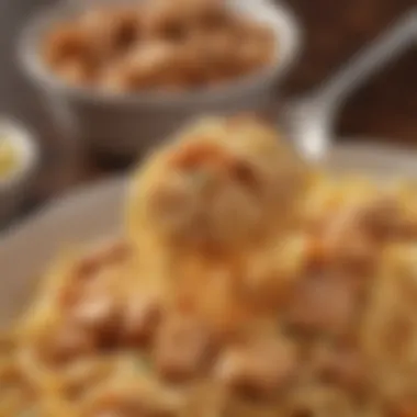 A close-up of a spoonful of Campbell's Chicken and Noodles