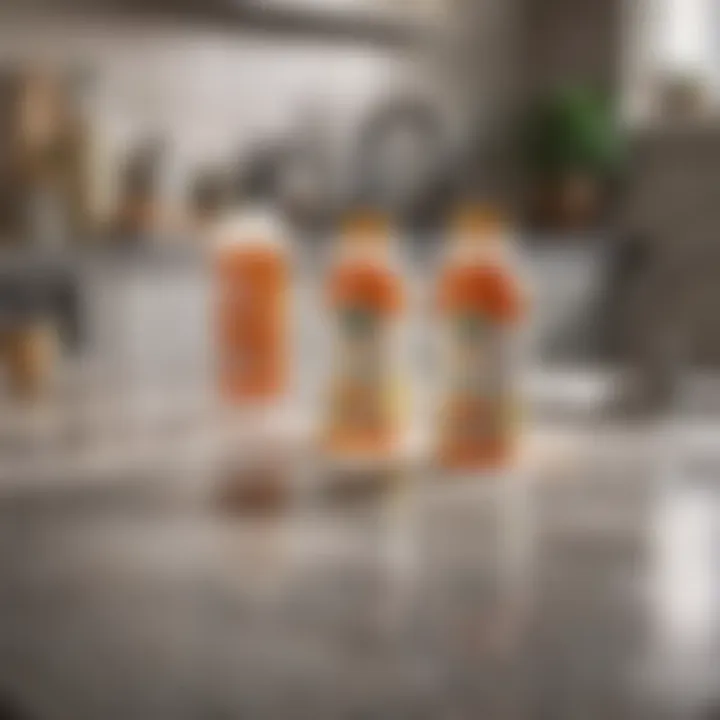 Commercial cleaning products arranged on a countertop