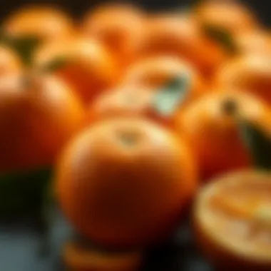 Varieties of oranges used in Cointreau