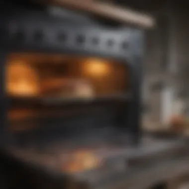 Tips for maintaining a clean oven