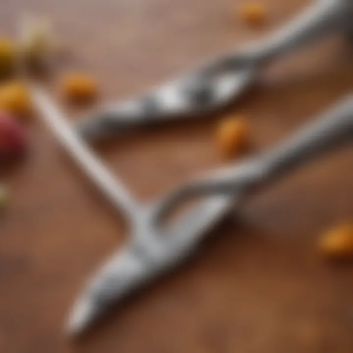 A close-up view of stainless steel poultry shears showcasing their sharp blades and ergonomic design.