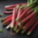 Fresh rhubarb stalks with vibrant red and green hues