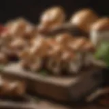 A selection of fresh mushrooms on a rustic wooden table, showcasing their natural beauty.