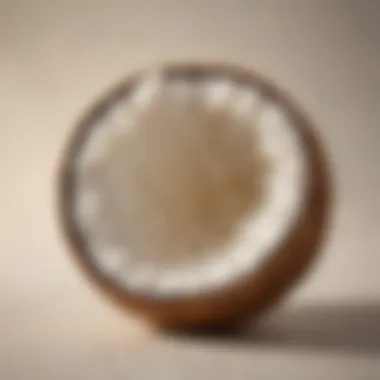 The Luxurious Texture of Creamed Coconut Rich texture of creamed coconut