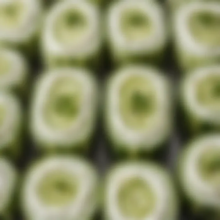 Close-up of a delicate cucumber and cream cheese roll, garnished with fresh dill.