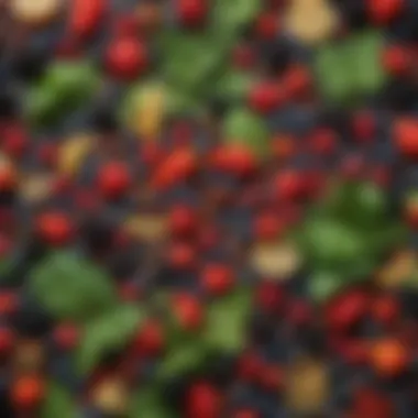 A Colorful Array of Nutrient-Dense Superfoods Vibrant assortment of superfoods including berries and leafy greens