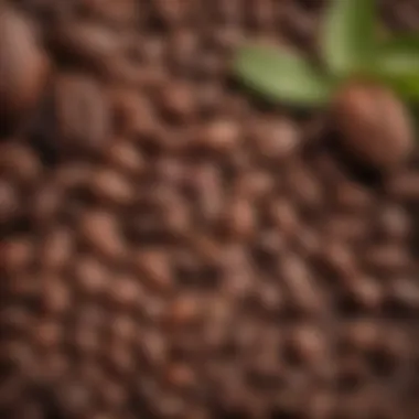 Close-up of cocoa beans and local ingredients used in Danish chocolate production