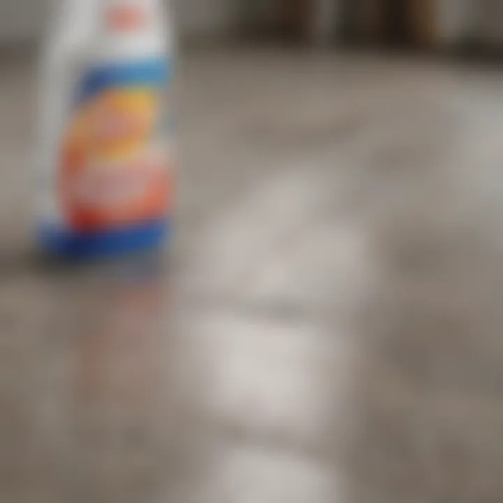 Variety of cleaning products suited for vinyl flooring