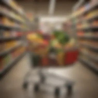 A well-organized grocery cart filled with fresh produce and pantry essentials