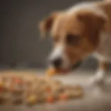 Dog engaging with a kibble toy, showcasing interactive playtime.