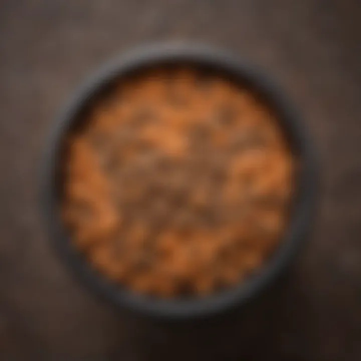 Close-up of a kibble toy filled with nutritious dog food.