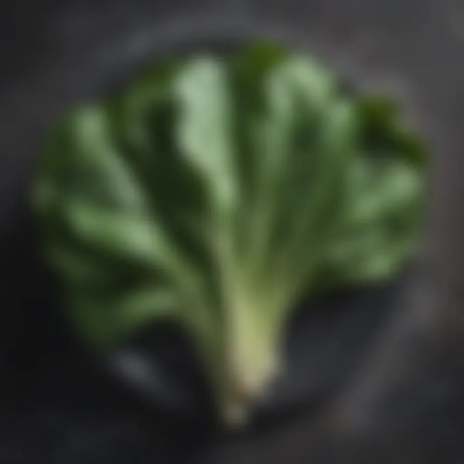 Nutrient-rich spinach leaves showcasing their vibrant green color.