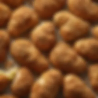 A close-up of the crispy texture of bread crumb chicken, highlighting its appealing crunch.