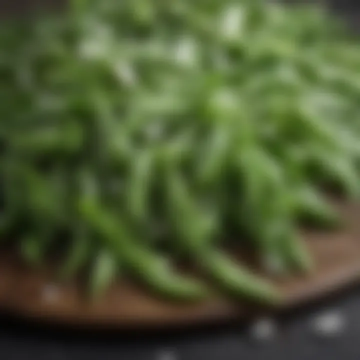 Close-up of snow peas showcasing their crisp texture