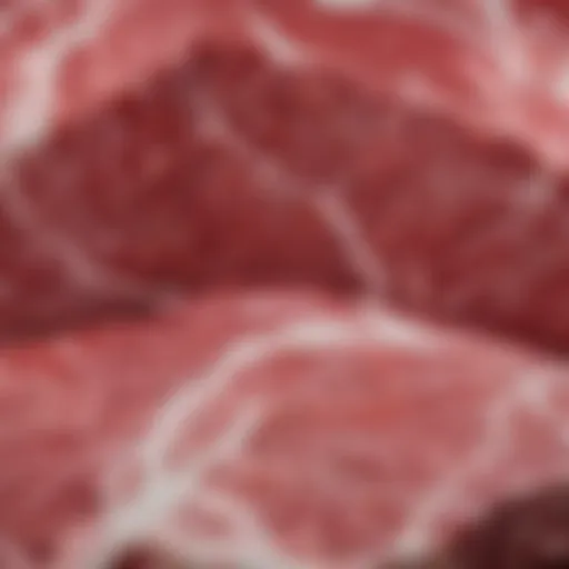 A beautifully marbled cut of Choice Angus Beef showcasing its premium quality.