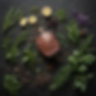 Herbs That Elevate Your Gin Experience A selection of herbs that complement gin
