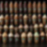 A selection of Starbucks bottled Frappuccino flavors arranged artistically