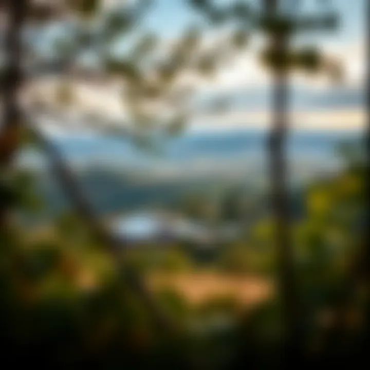 Scenic View of Gethsemani Farms A picturesque view of Gethsemani Farms surrounded by greenery