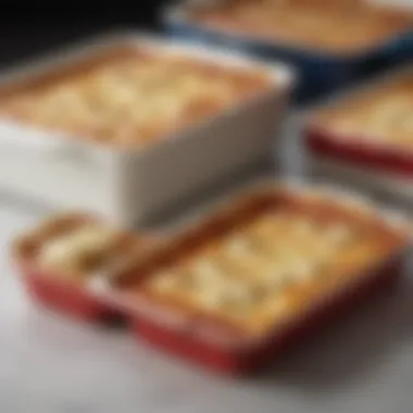 A comparison of different lasagna baking dish materials