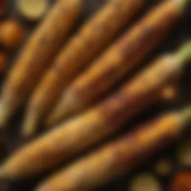 Close-up of roasted corn cobs with spices