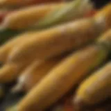 Vibrant display of Mexican corn cobs at a market