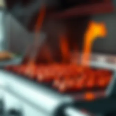 Heat Distribution System in Action Detailed view of heat distribution system in a gas BBQ