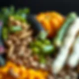 Variety of legumes showcasing their colors and textures