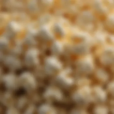 Fluffy Popped Popcorn A beautifully popped batch of popcorn showcasing its fluffy texture