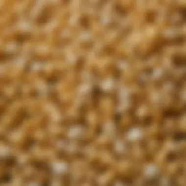 Vibrant Popcorn Kernels A close-up view of vibrant popcorn kernels ready for popping in oil