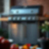 Duo gas charcoal grill showcasing dual fuel options