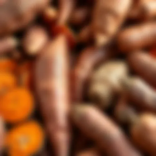 Diverse Sweet Potato Varieties A vibrant display of various sweet potato varieties showcasing their colors and textures