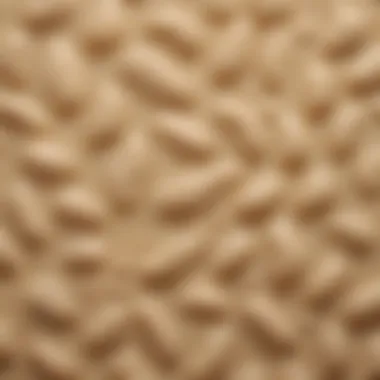 A close-up of tahini texture showcasing its consistency and color