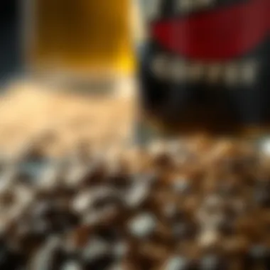 A close-up of coffee beans and barley grains representing the ingredients in coffee-infused beer.