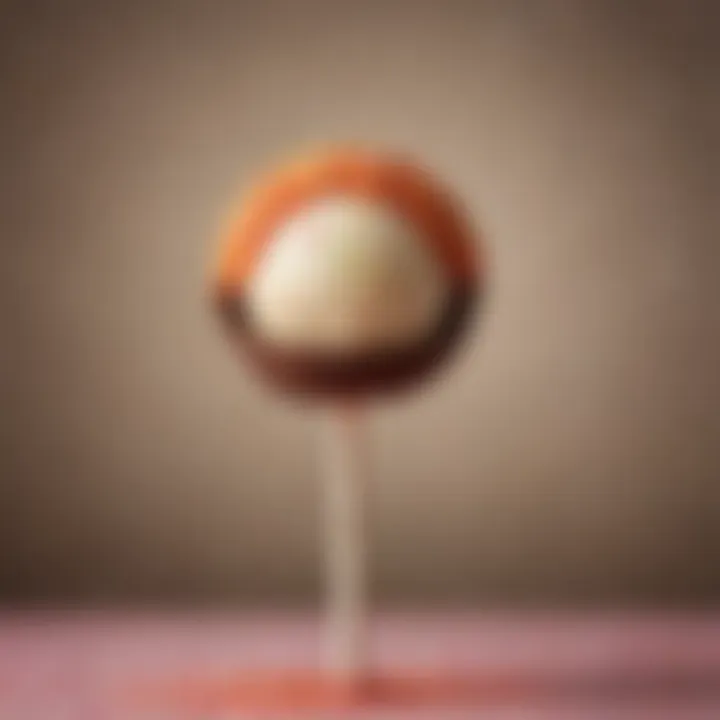 A perfectly crafted cake pop held up against a blurred background