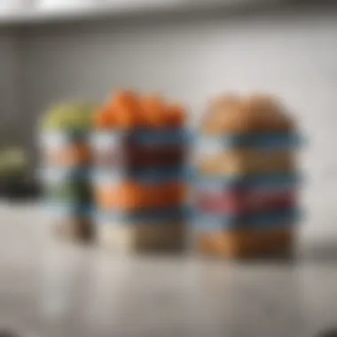 Elegant six-cup plastic food storage container showcasing its sleek design on a kitchen countertop.