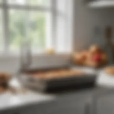 A clean, well-maintained extra large baking dish resting on a kitchen countertop